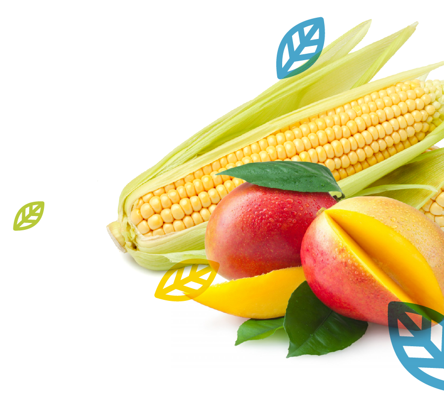 High Performance Agriculture