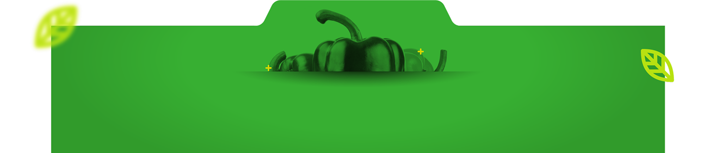 Footer BioFusion