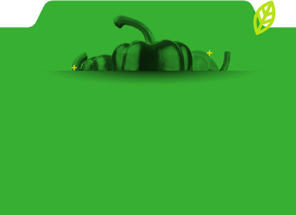 Footer BioFusion